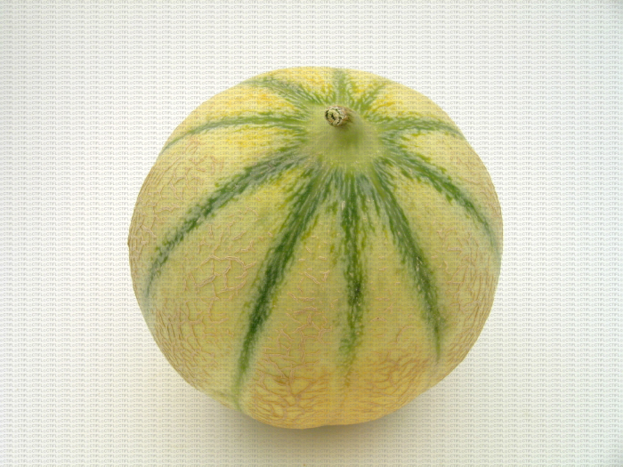 Melon, spécimen sans défaut